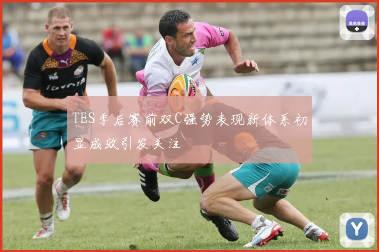 TES季后赛前双C强势表现新体系初显成效引发关注