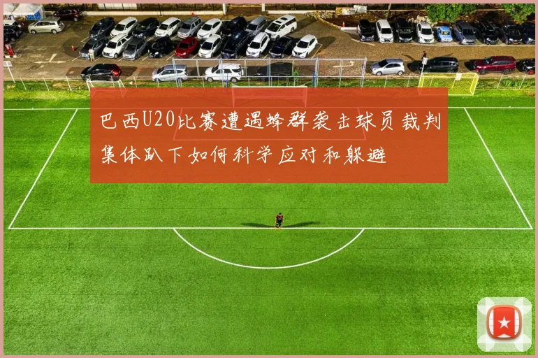 巴西U20比赛遭遇蜂群袭击球员裁判集体趴下如何科学应对和躲避